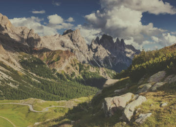 Small thumbs full width